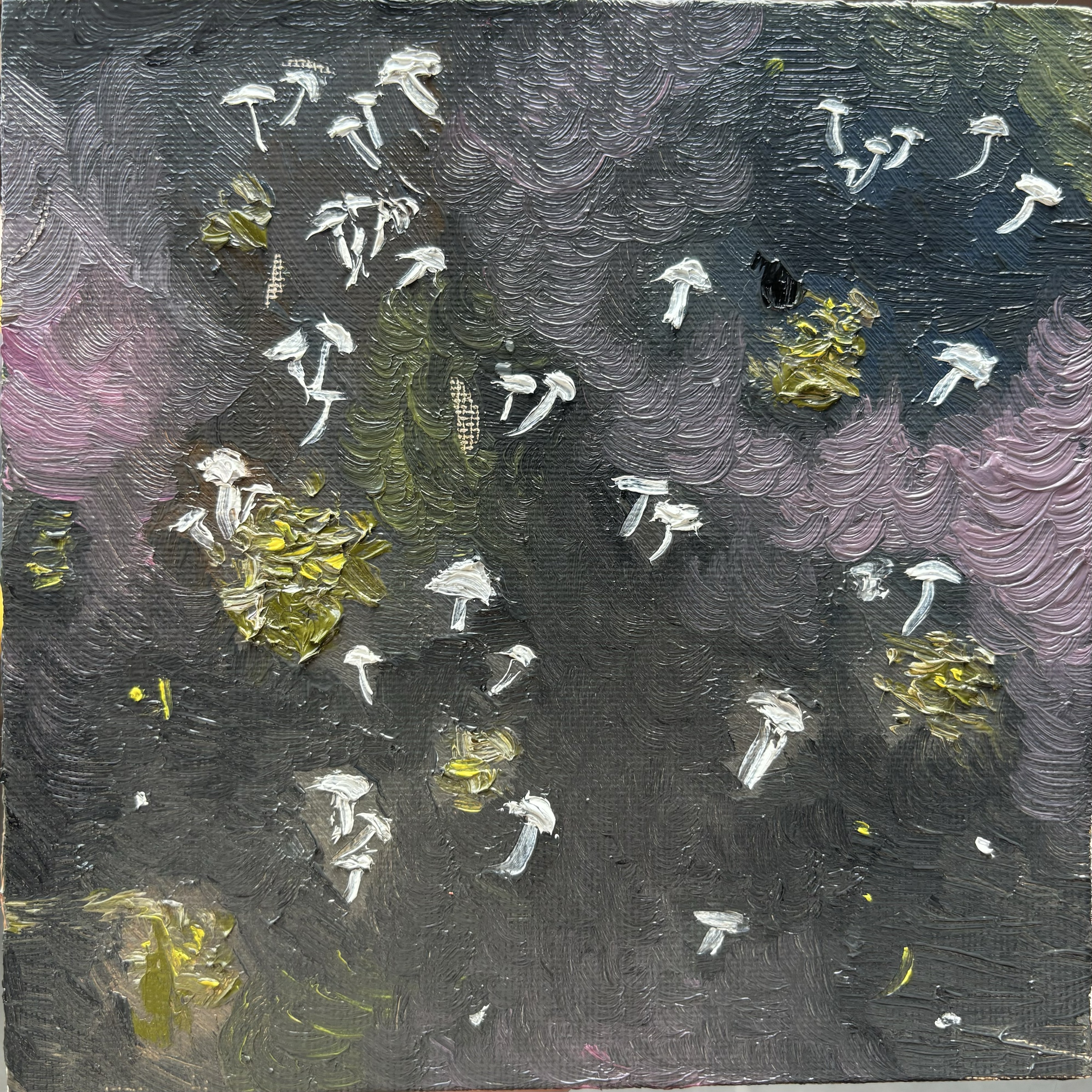 迷幻蘑菇